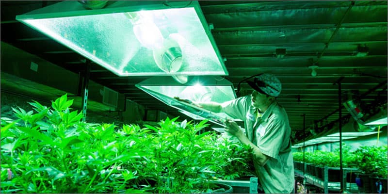 Solar Powered Marijuana Operation, Dispensaries, Grow Houses, Green