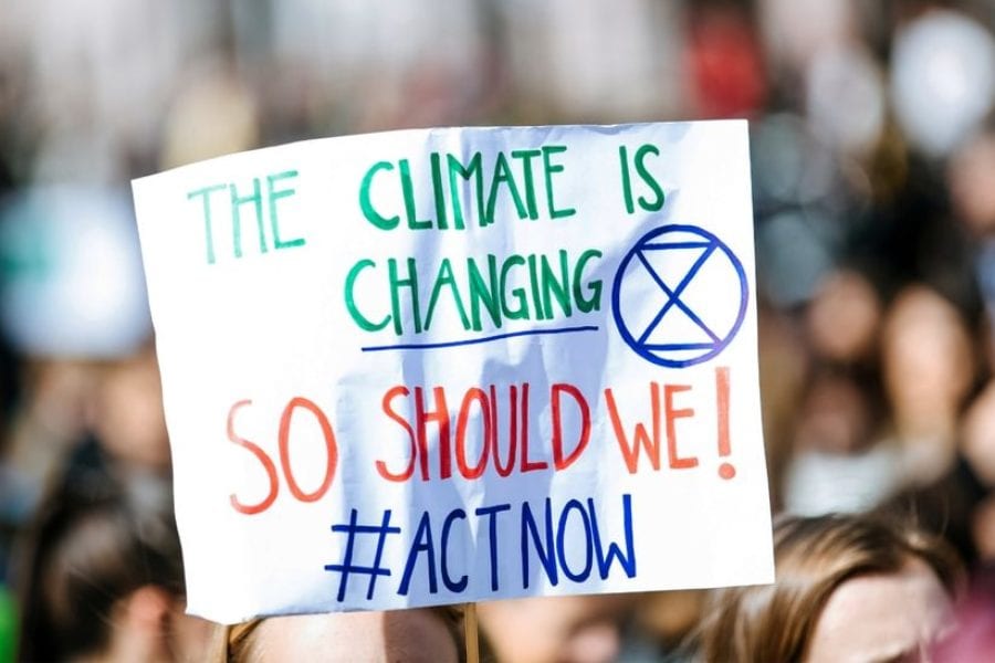 10 Things You Can Do To Fight Climate Change