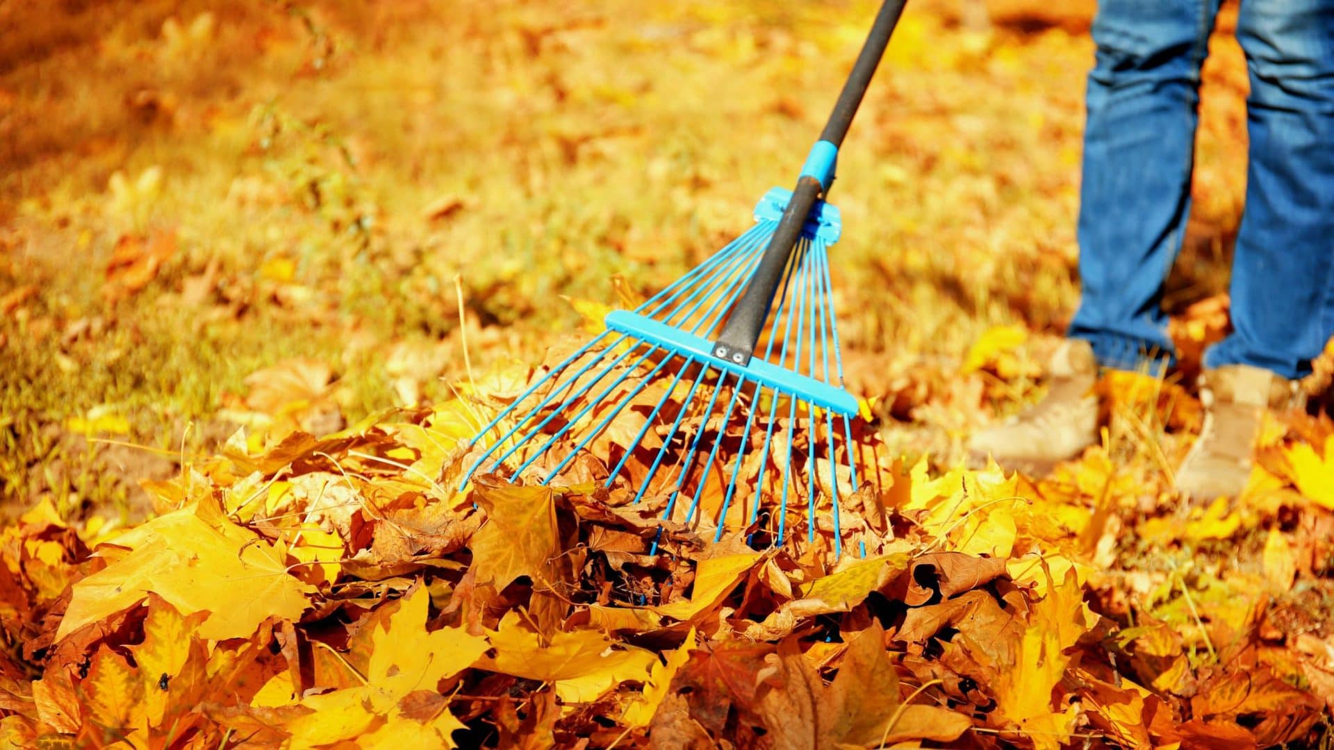 13 Fun Eco-friendly Fall Activities - Solaris Renewables Solar Blog