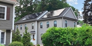 Solar Panel Sustainability: Why Maxeon Is The Greenest Choice